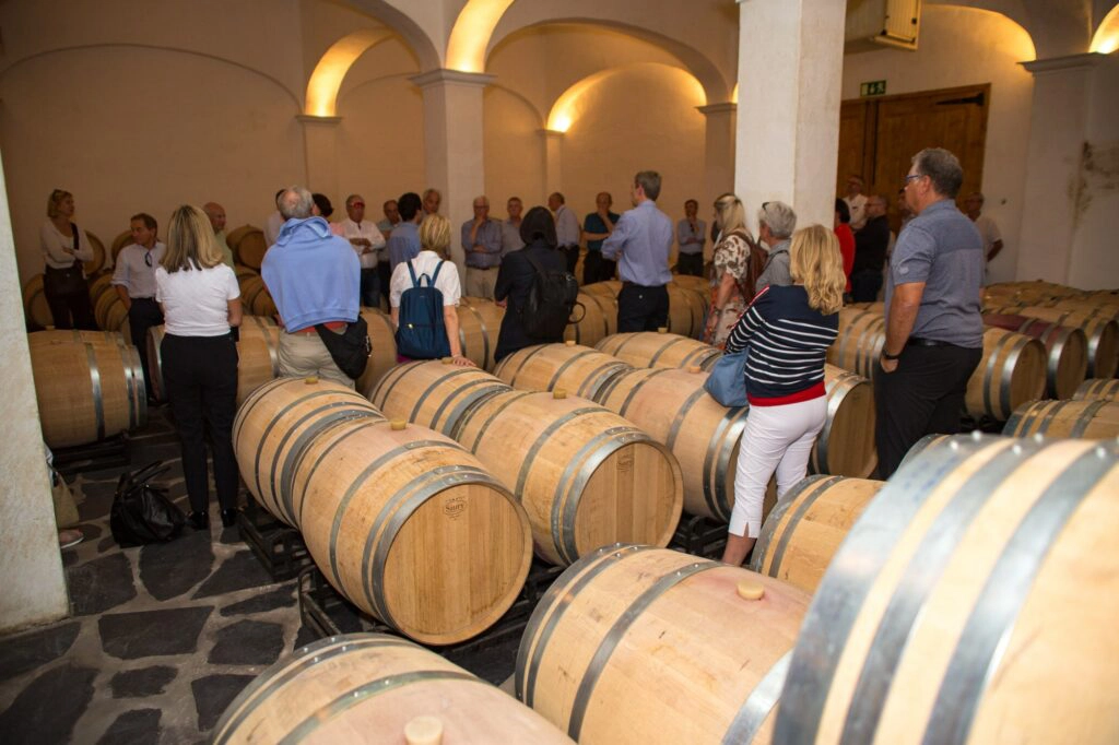 Visite de cave et dégustation